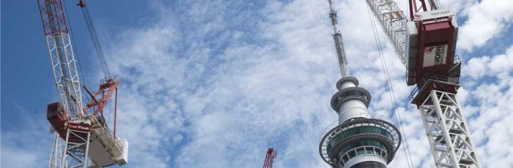 Neighborhood Service Center Director