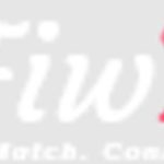 Fiw fan